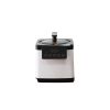 Steam Generator - as Pic